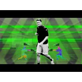 adidas ace 16 ozil